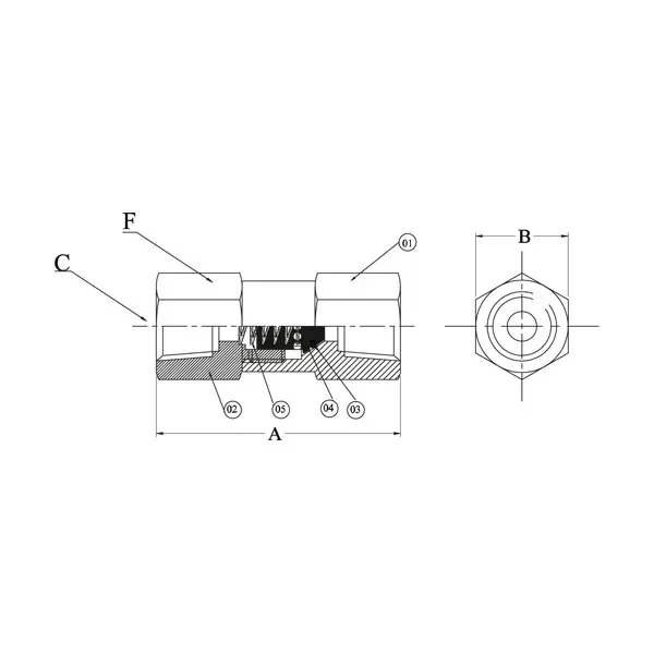 Check Valve (Female x Female)